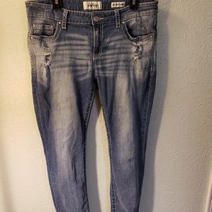 Daytrip Lynx ankle skinny